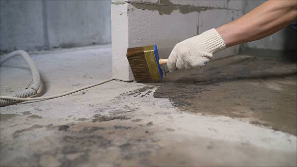 24/7 Emergency Crawl Space Encapsulation experts in DuPont, WA